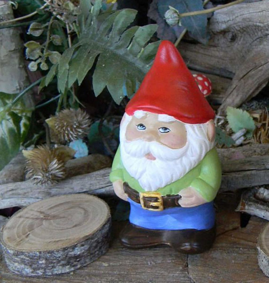 gnome